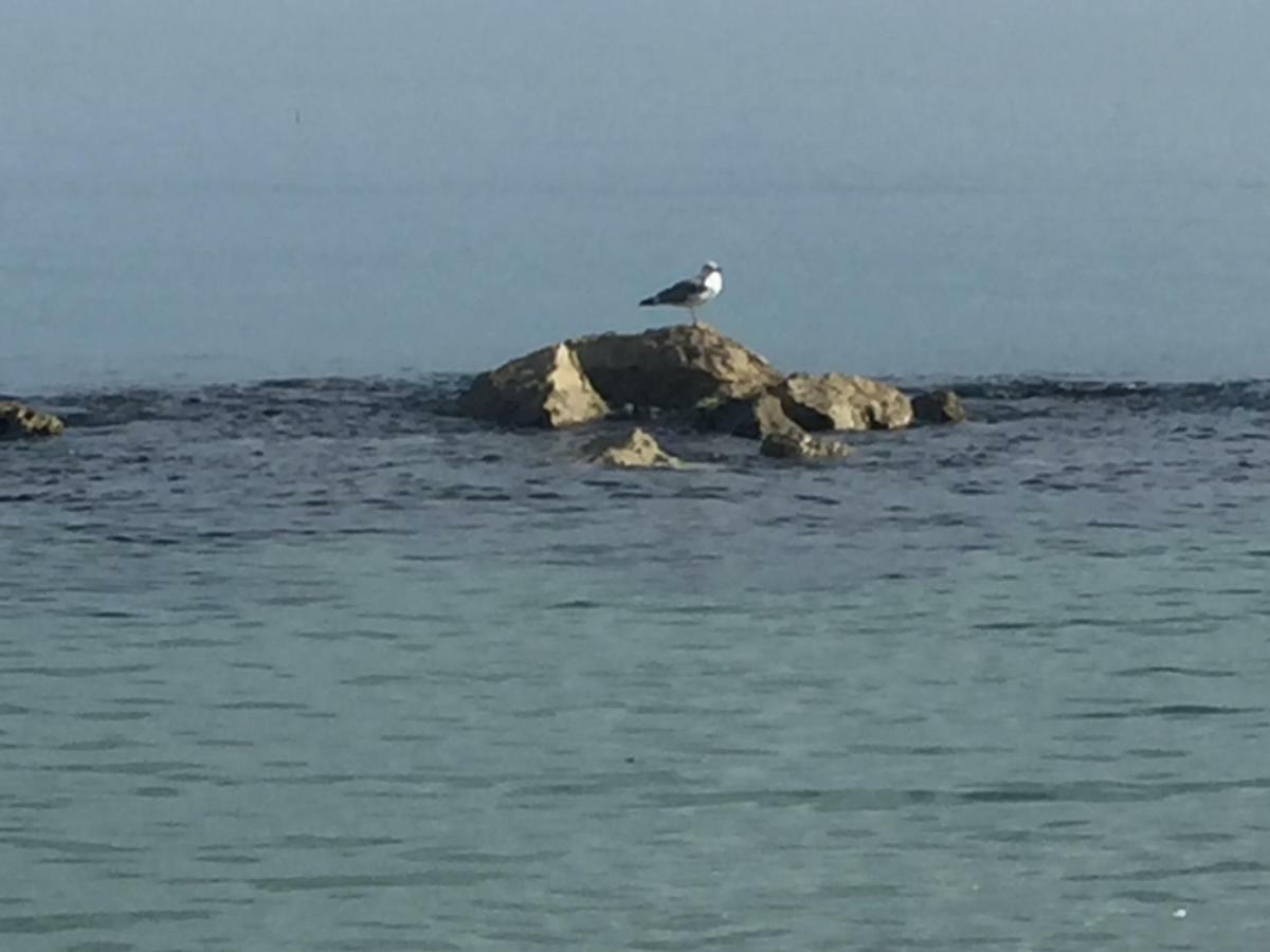 Appartamentino Celeste Porto Recanati Dış mekan fotoğraf